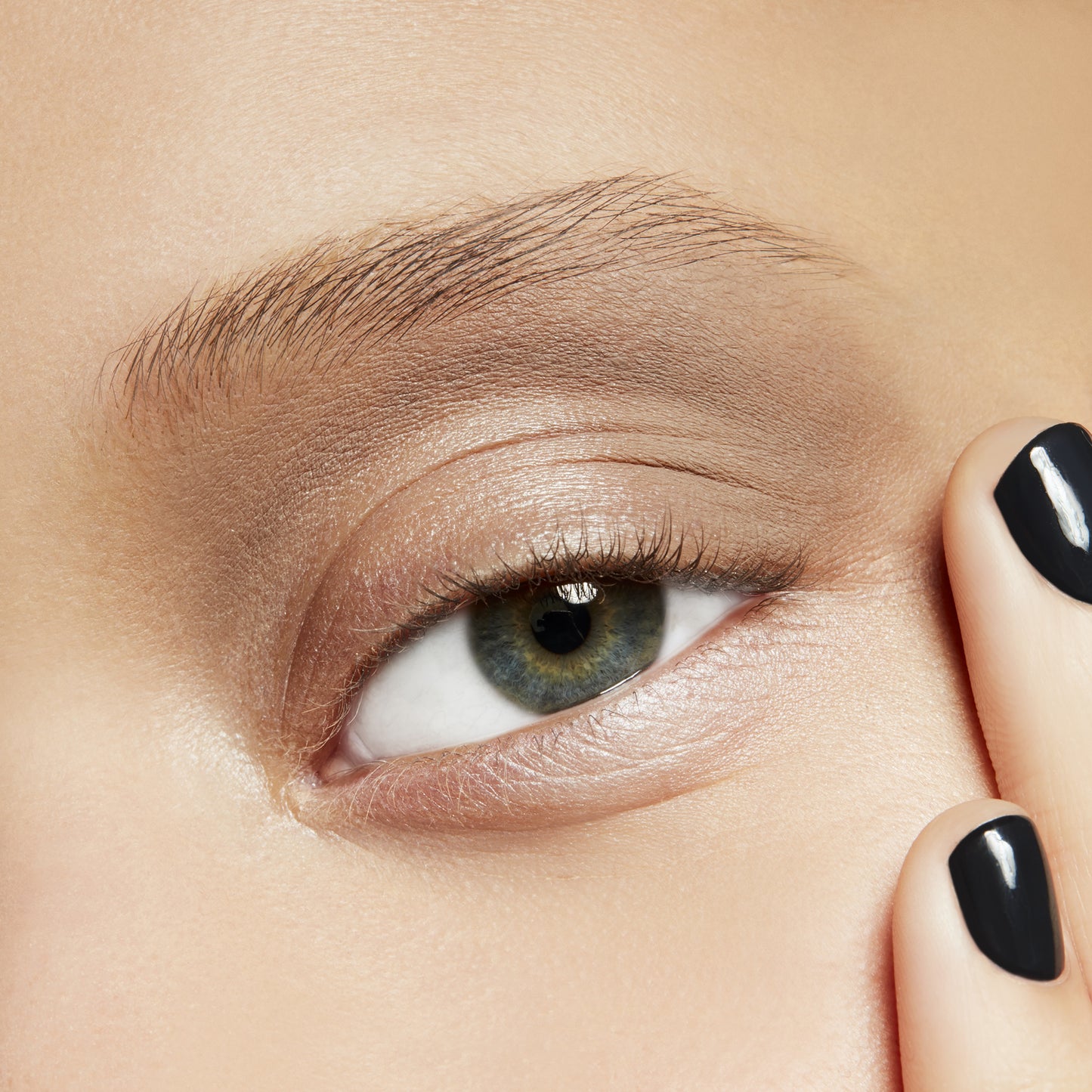 Eye Shadow with blendable eye color for Daily Makeup