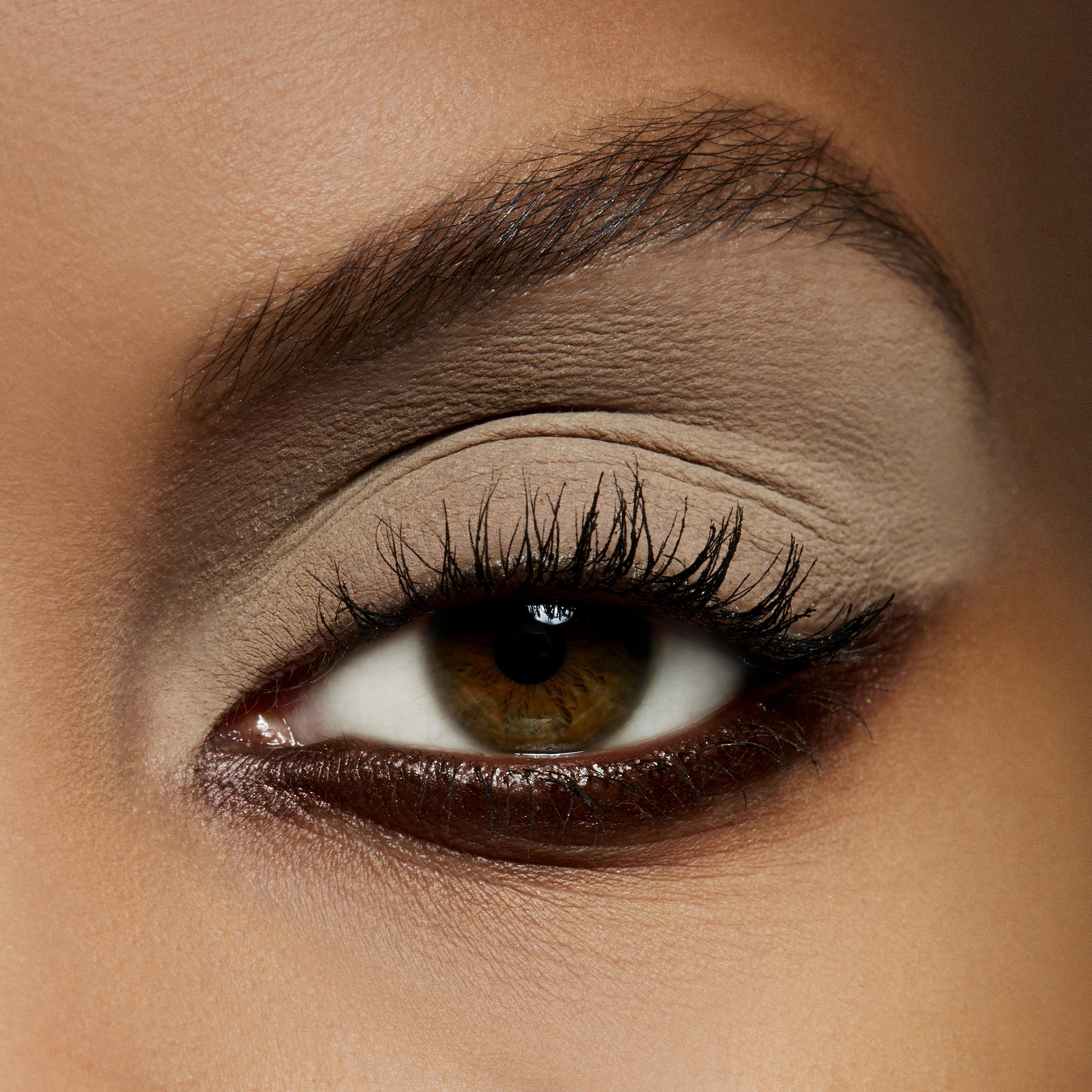 Eye Shadow with blendable eye color for Daily Makeup
