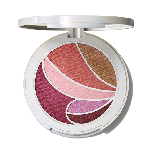 Metamorphosis Face and Eye Palette with versatile coordinated color for Daily Makeup
