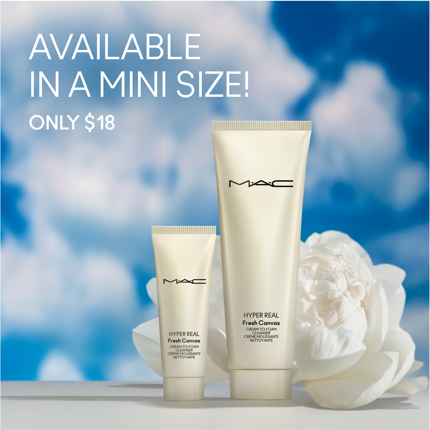 Hyper Real Fresh Canvas Cream To Foam Cleanser with gentle makeup removal for Daily Makeup